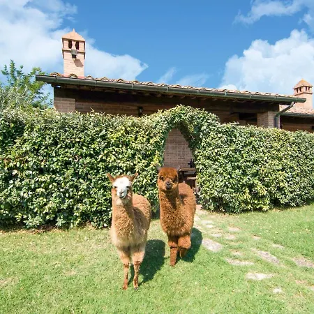 Ferienhaus Belvilla By Oyo Large Farmhouse With Pool Pucciarelli